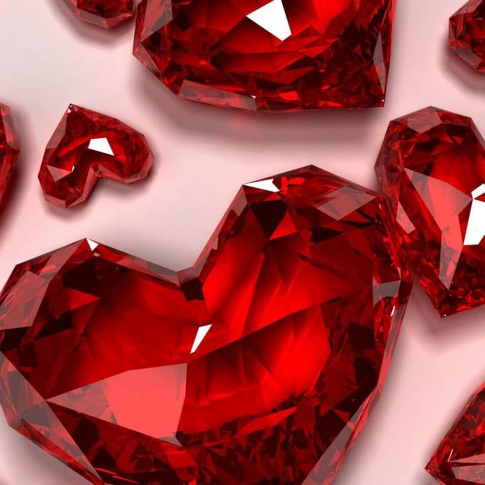 Meet your Posher, Maggie